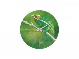 Часы настенные Nicole Time NT503 в Алмазном - almaznyj.mebel-nsk.ru | фото